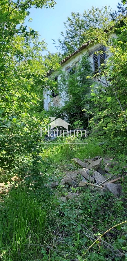 Istra,Pazin šuma na prodaju