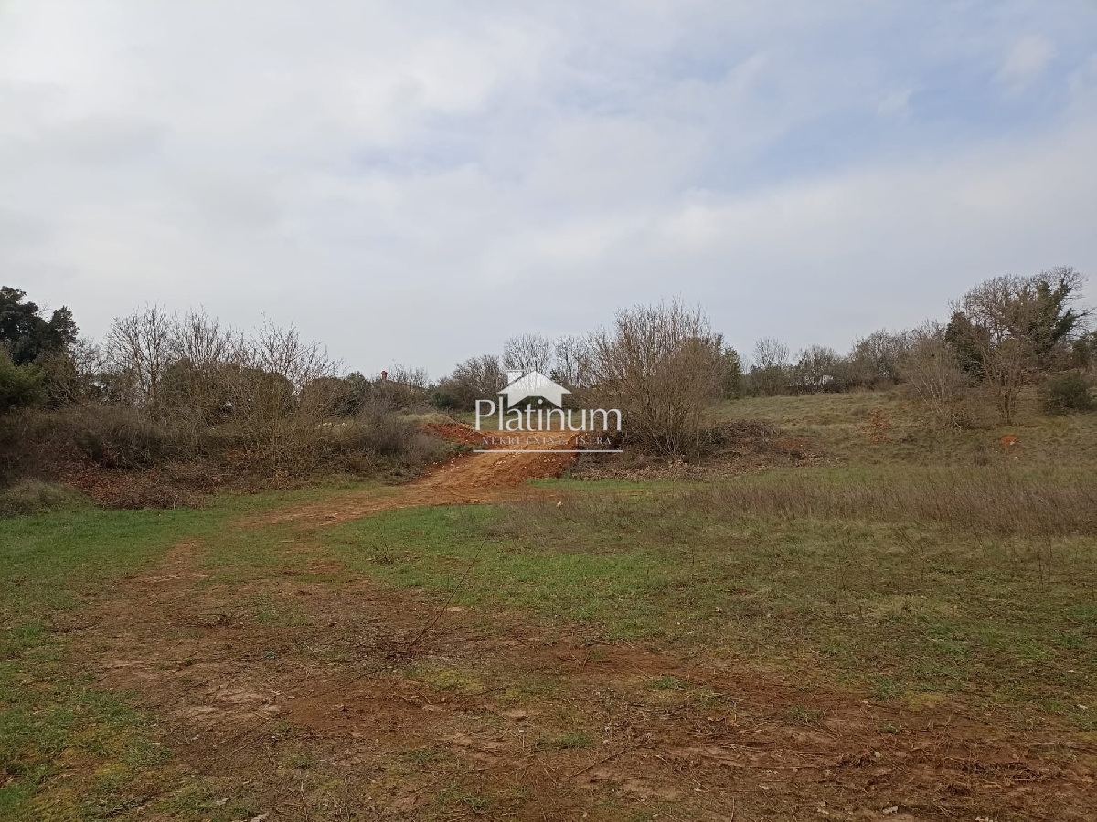 Istria, Šišan agricultural land land 543 m2