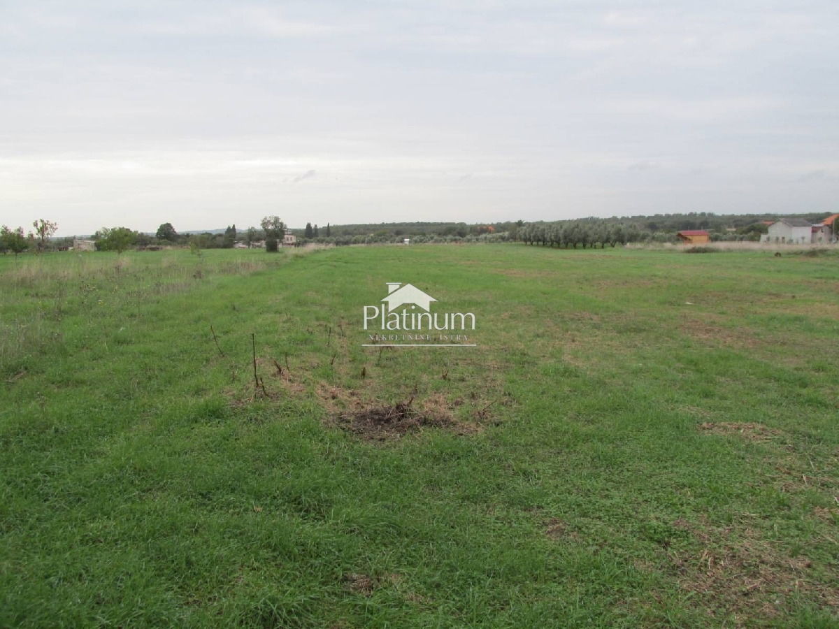 Istria, terreno agricolo dignano