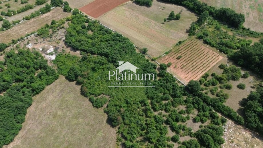 Istra, Smoljanci, veliko imanje 27300 m2, građevinska dozvola