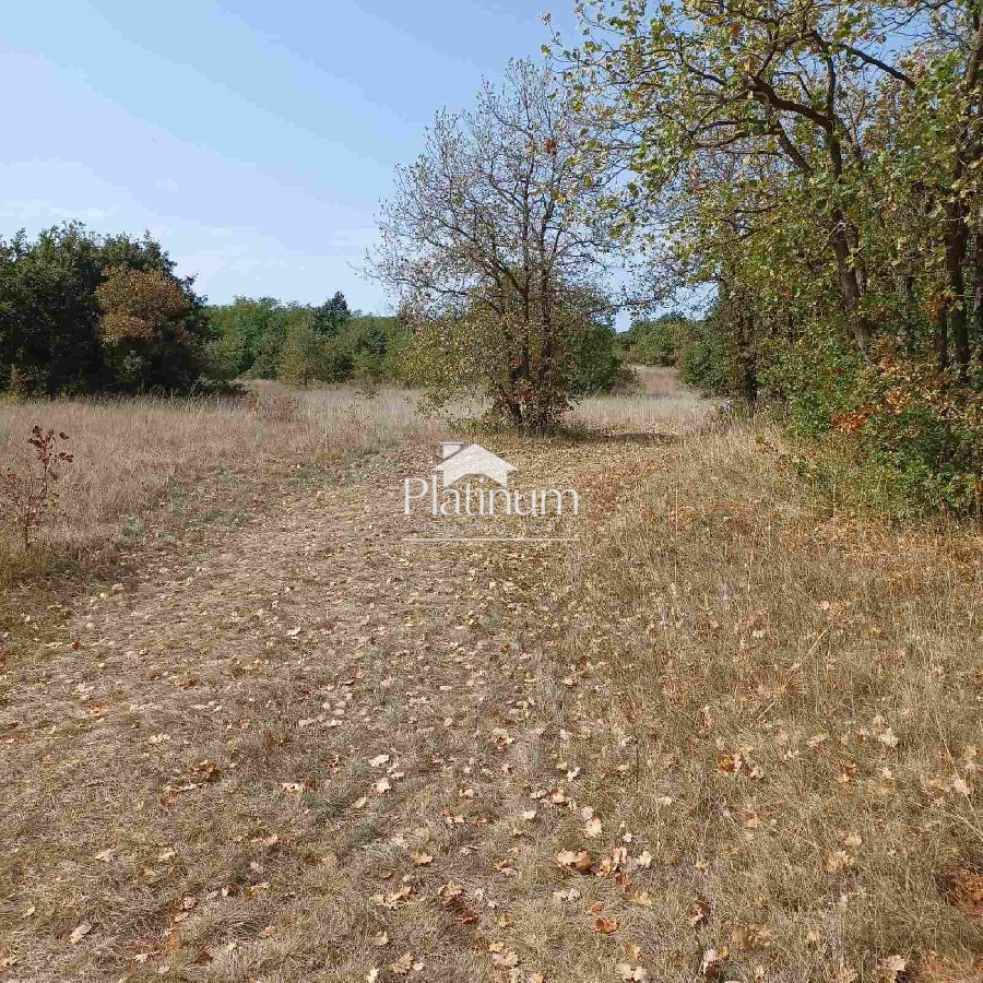 Istra,Marčana prekrasno poljoprivredno zemljište za OPG