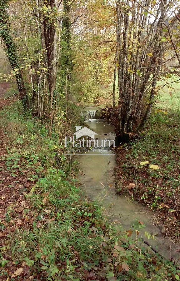 Istria, Pazin forest for sale