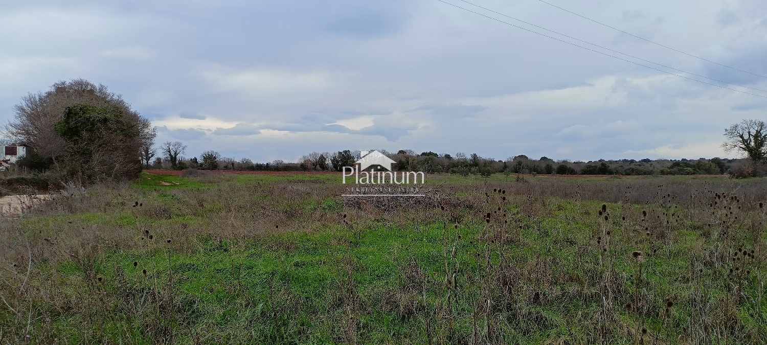 Istria, Šišan, agricultural land