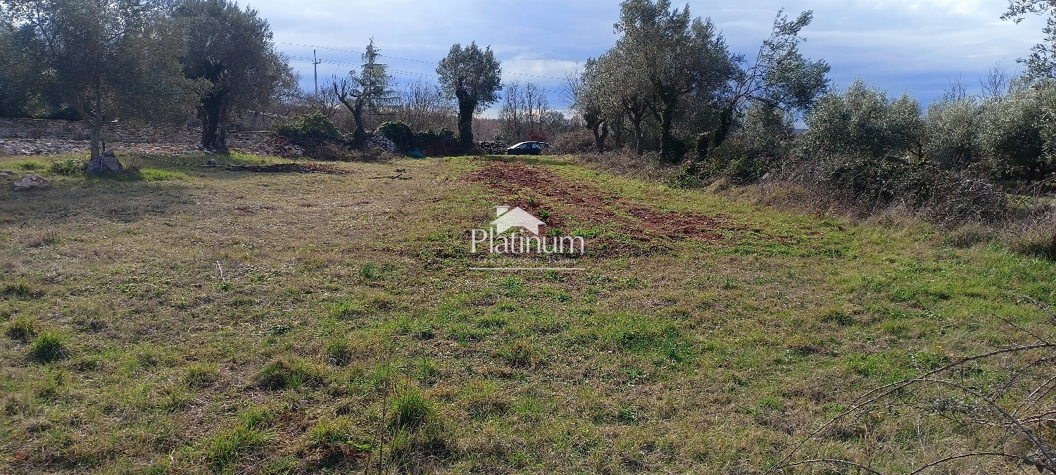 Istra, Smoljanci, poljoprivredno zemljište