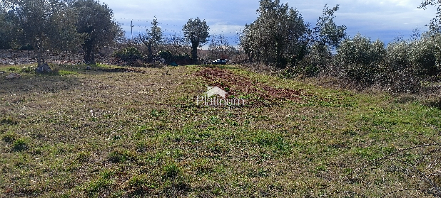 Istria, Smoljanci, terreno agricolo