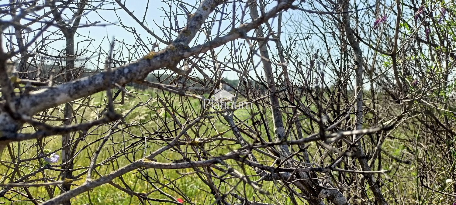 Istra, okolica Pule, zazidljivo zemljišče