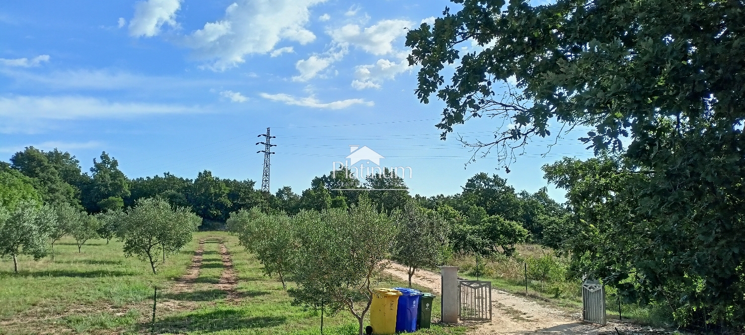 Istria, surroundings of Savičenta, holiday house with olive grove and vineyard