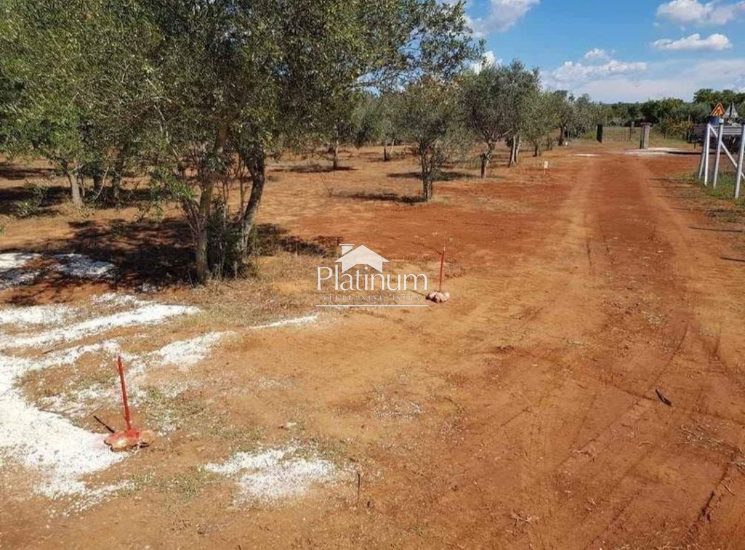 Istria, terreno agricolo Batvačii