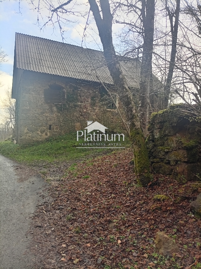 Gorski kotar, Čabar stone house and forest of 94759 m2