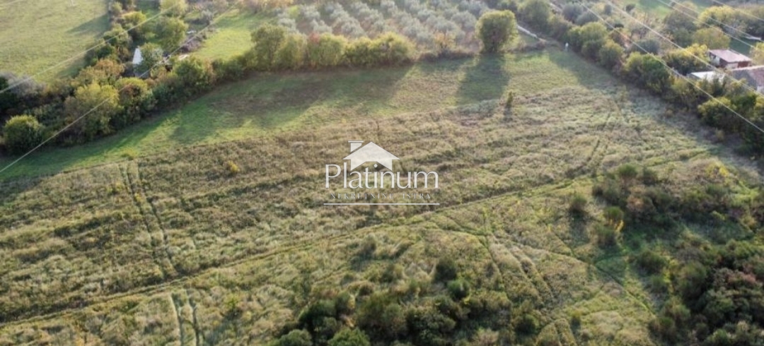 Istra,Galižana poljoprivredno zemljište na prodaju