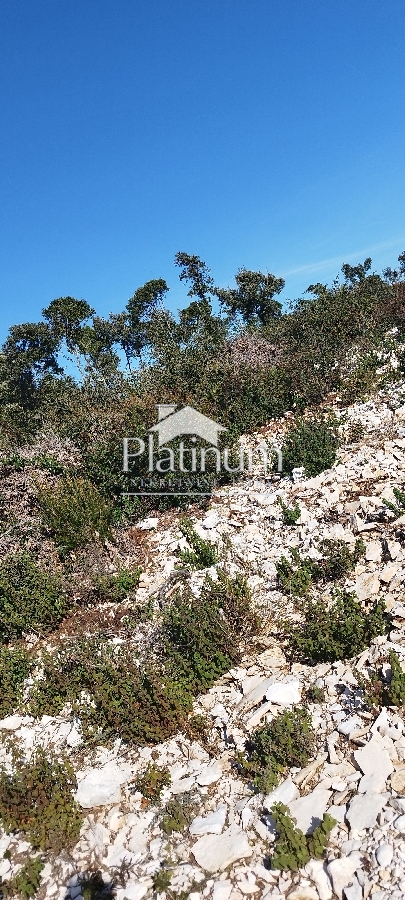 Istria , Pavićini terreno agricolo a 500 m dal mare