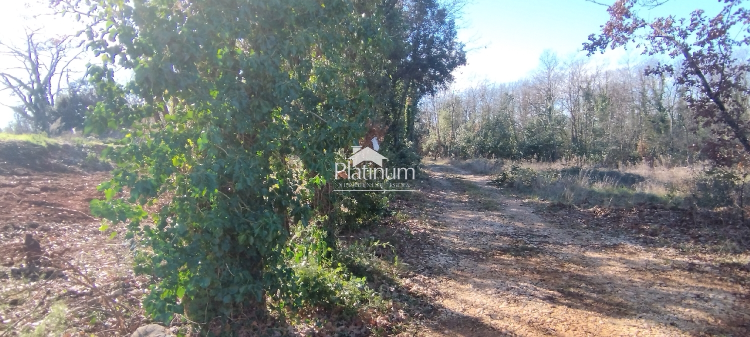 Istria, terreno agricolo Pavićini in vendita