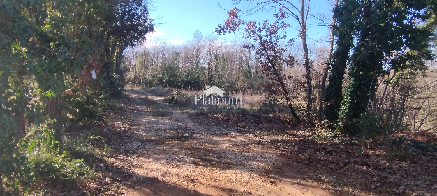 Istria, Duga uvala terreno 377m2