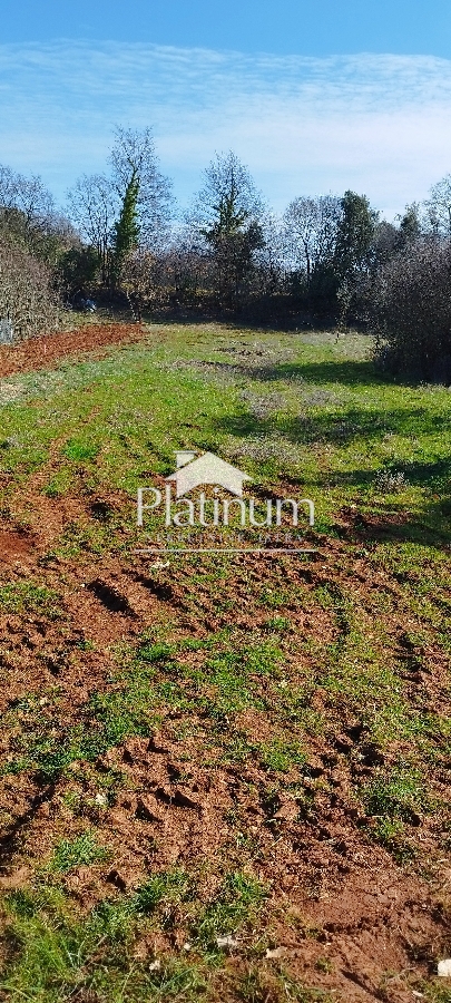 Istria, Pavićini terreno agricolo in vendita