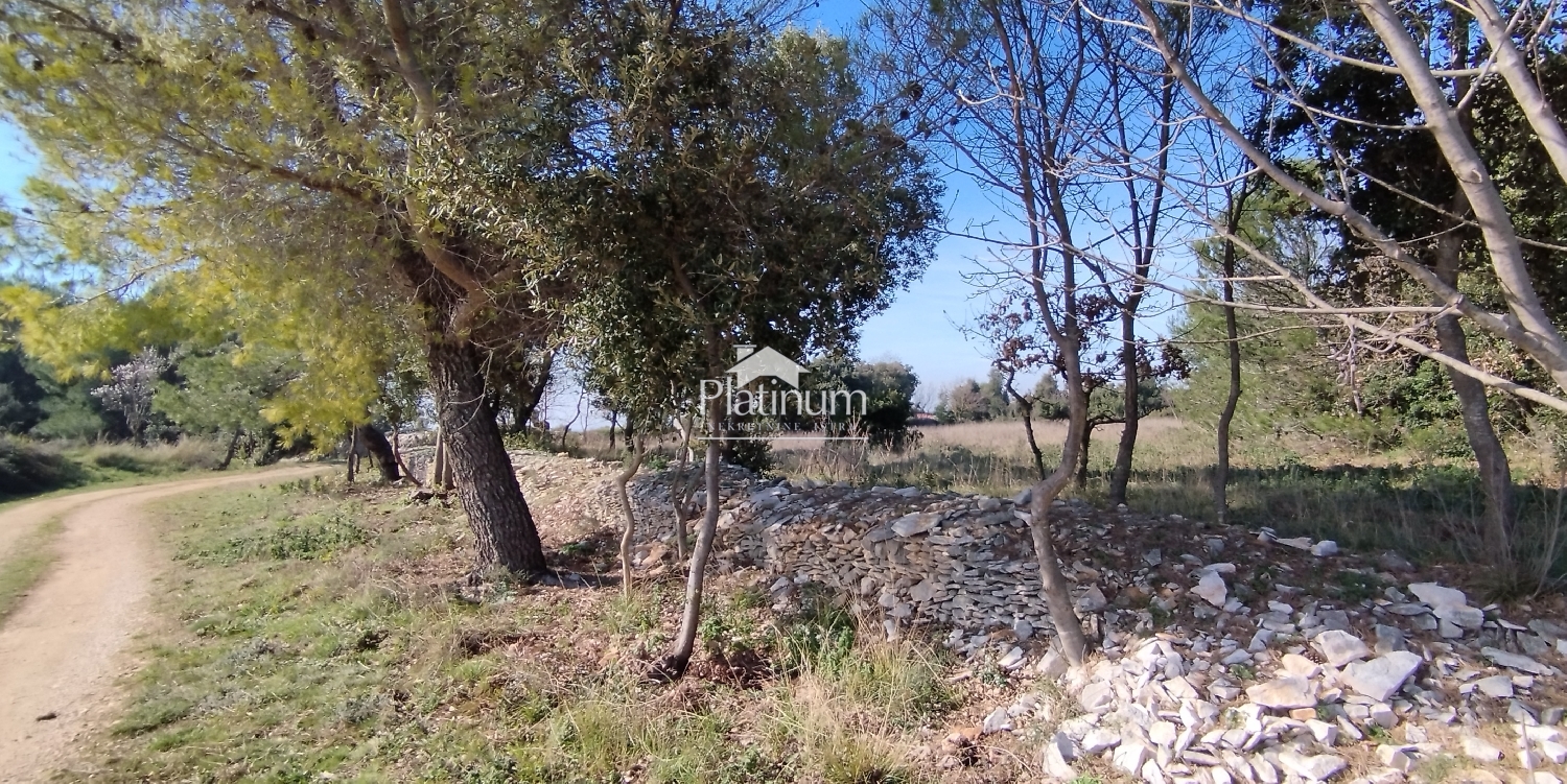 Istria, Kavran agricultural land for sale