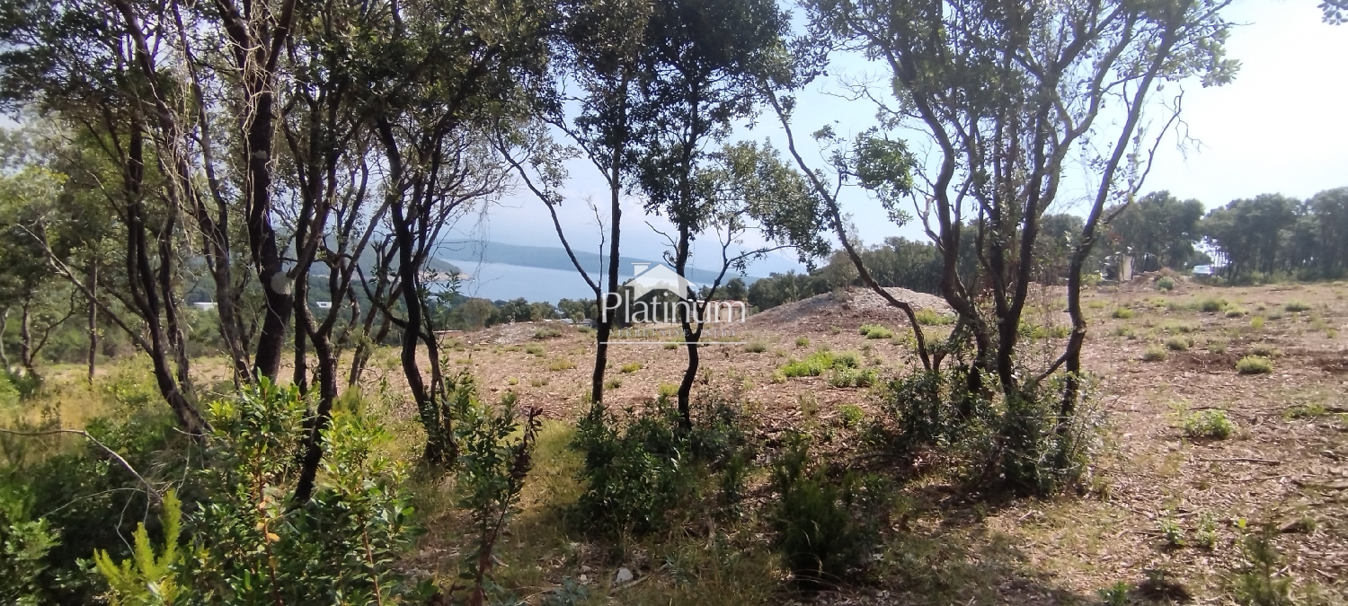 Istra,Peruški poljoprivredne parcele s pogledom na more