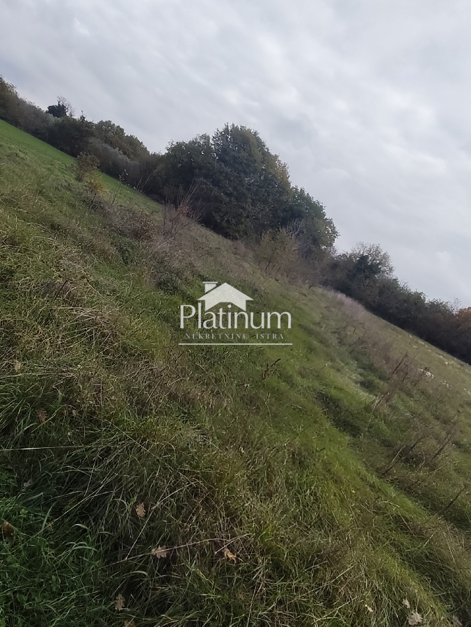 Istra, Marčana agricultural land