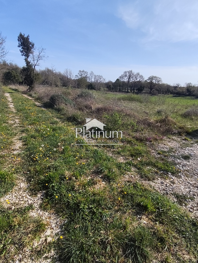 Istra,Šišan poljoprivredno zemljište u prodaji