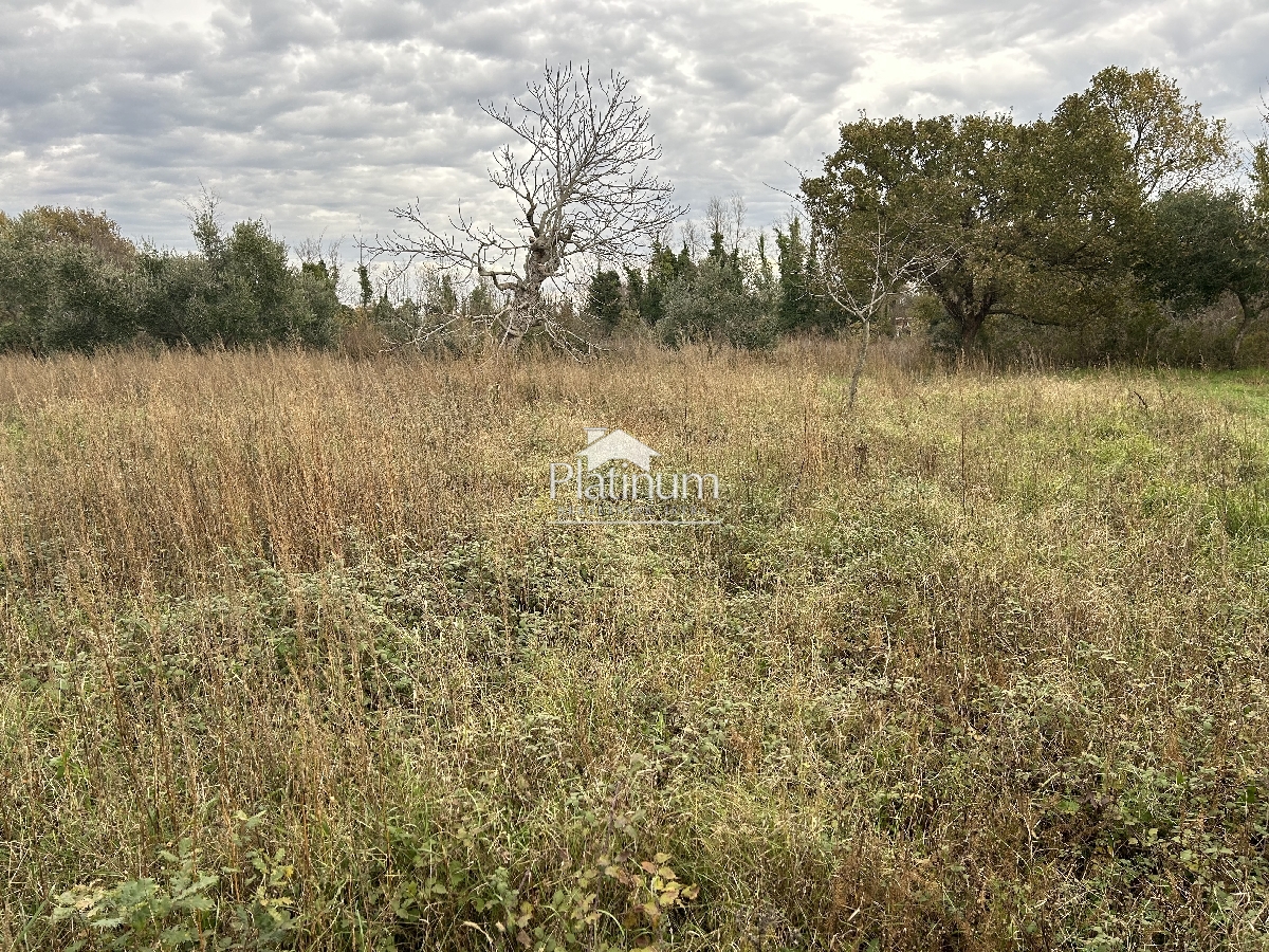 Istria, Šišan, agricultural land