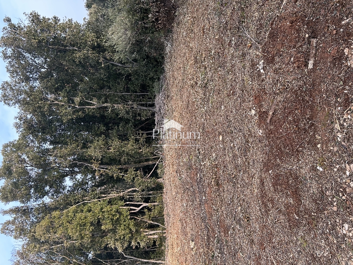 Istria, Šišan, terreno agricolo