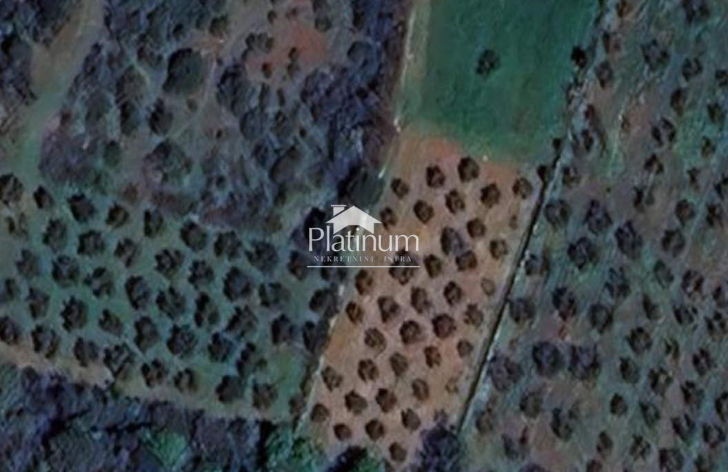 Istra, Galižana, poljoprivredno zemljište 3340 m2