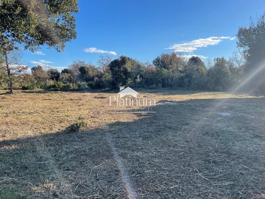 Istria, Valle, terreno agricolo 8000 m2