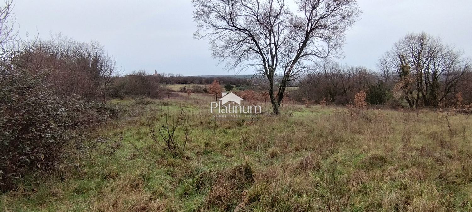 Istra,Cokuni na prodaju  kombinirano zemljište