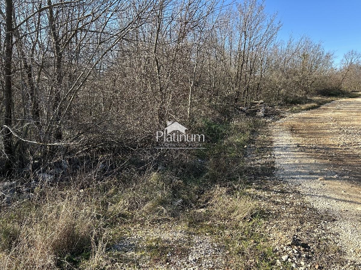 Istria, comune di Canfanaro, terreno edificabile