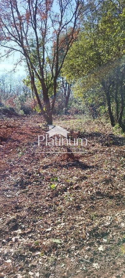 Istra, Pavićini kmetijsko zemljišče prodam