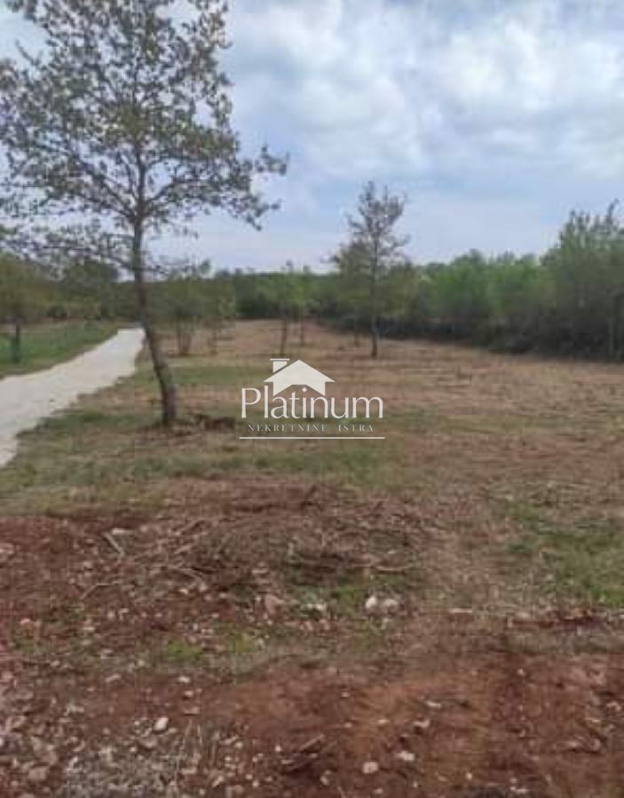 Istria, Šišan terreno agricolo in vendita
