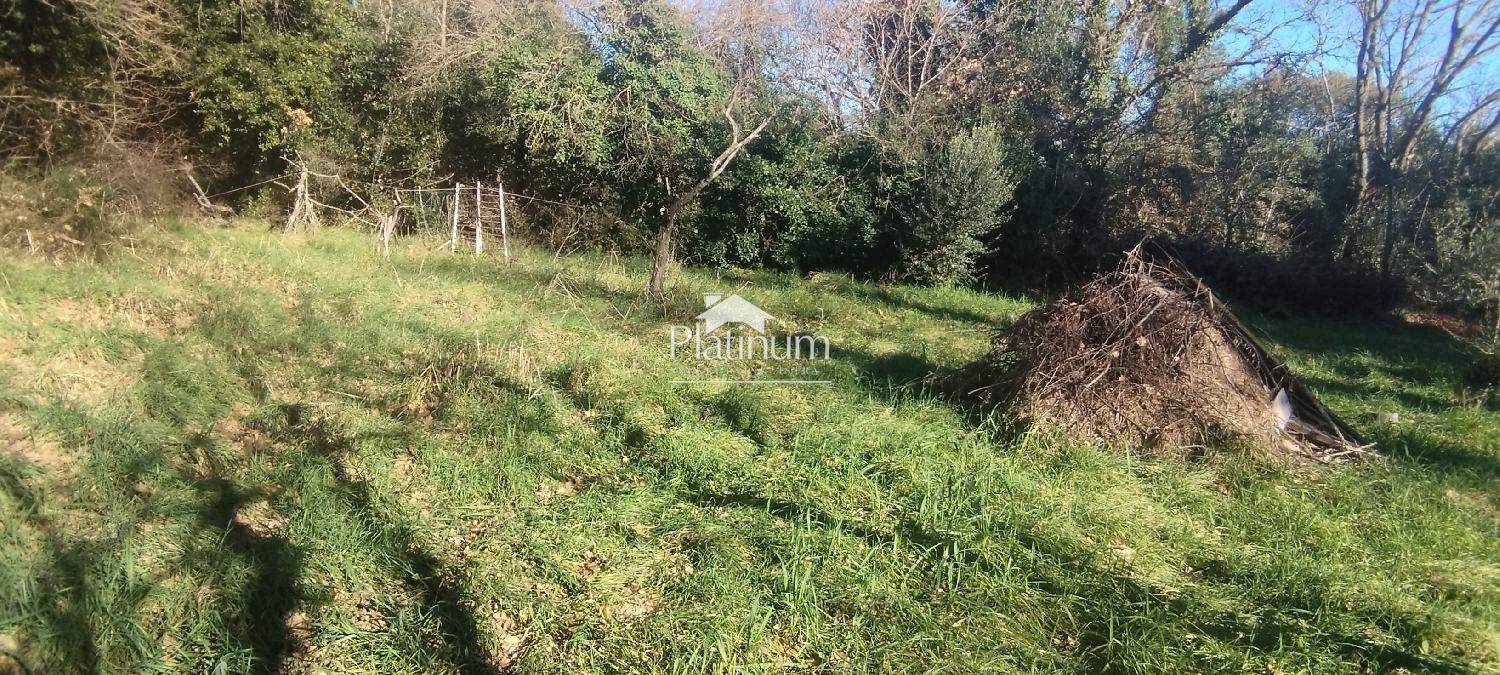 Istria, Valtura terreno agricolo in vendita