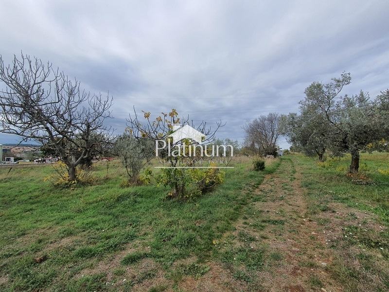 PULA, ŠIJANA, GRAĐEVINSKO ZEMLJIŠTE 1000m2