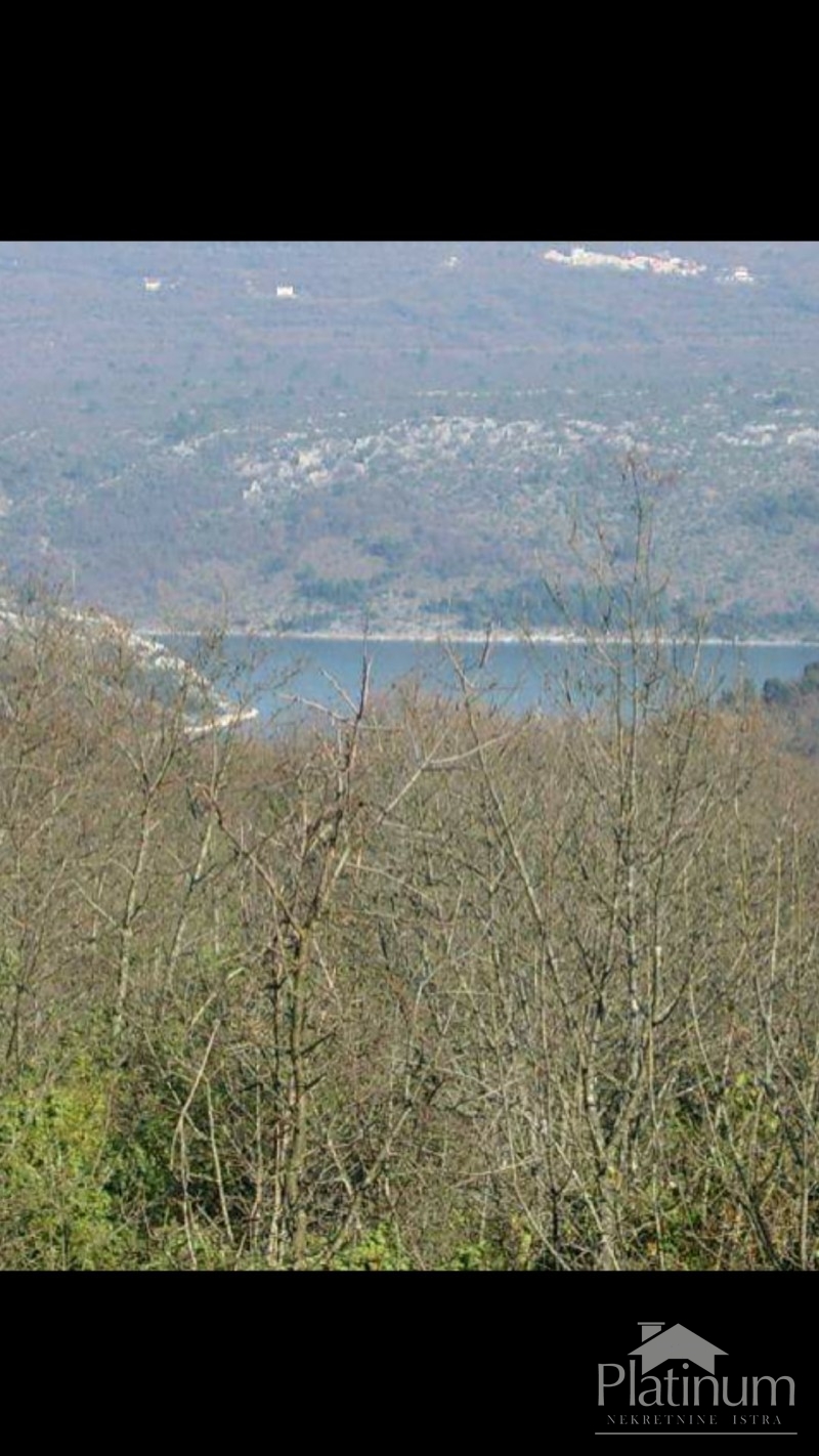 Istria, Marcana Rakalj, plot 5873 - parte della costruzione delle foreste