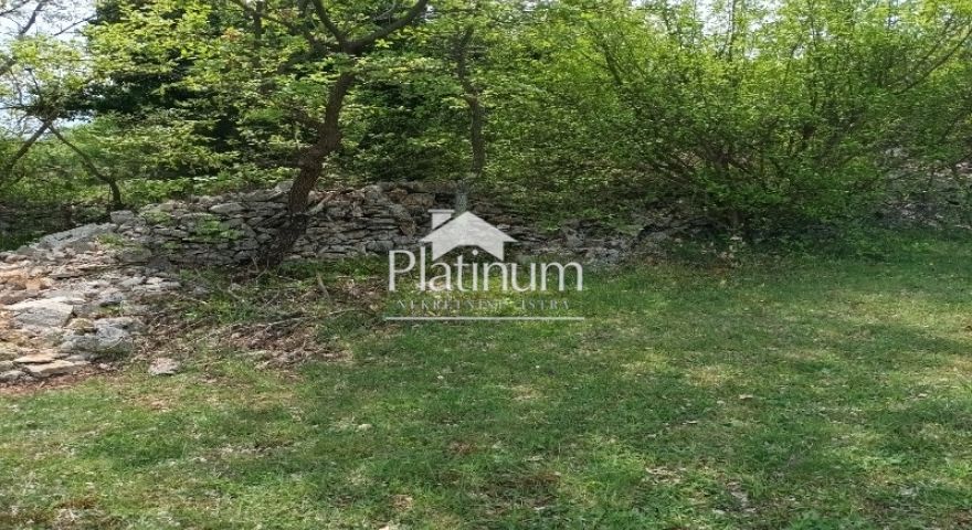 Istria, agricultural land 45000 m2