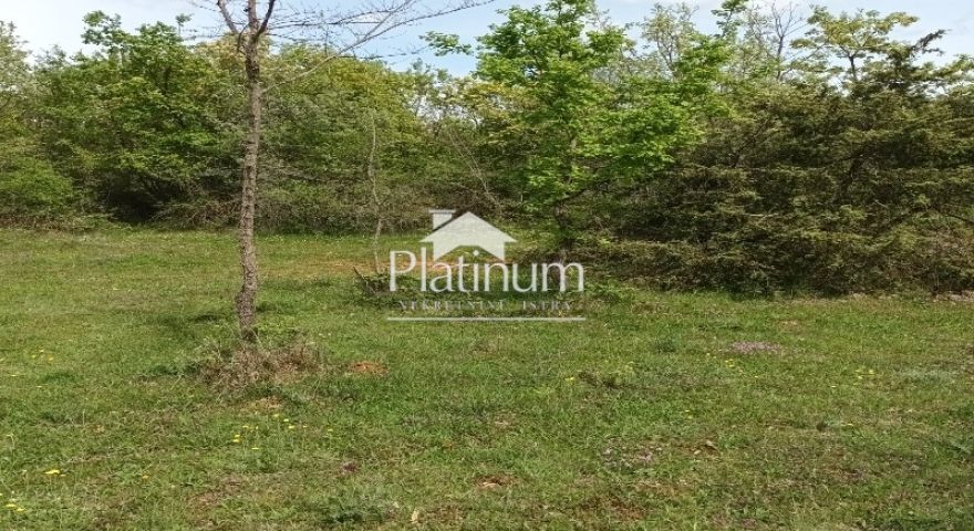 Istria, terreno agricolo 45000 m2