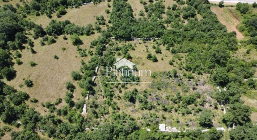 ISTRIA SVETVINČENAT, 12400m2 ottima posizione