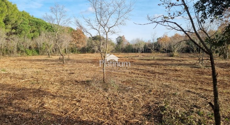 Terreno agricolo