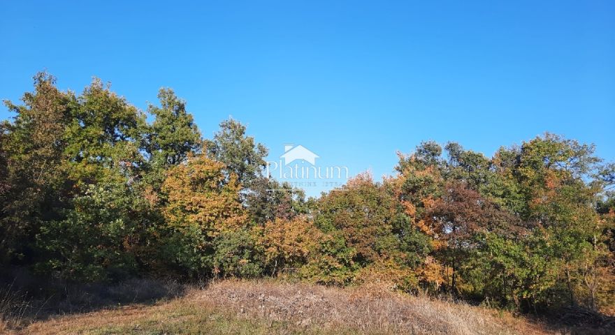 Terreno agricolo, Juršići