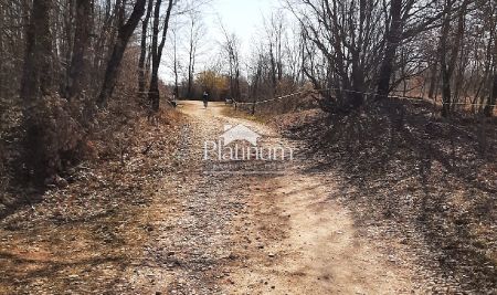 Istra,okolica Pazina prekrasna parcela na prodaju