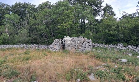 Istra Rovinj poljoprivredno zemljište veličine 21206 m2