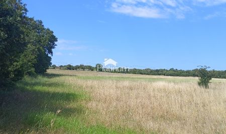 Istria, Barbariga, agricultural land next to the construction zone