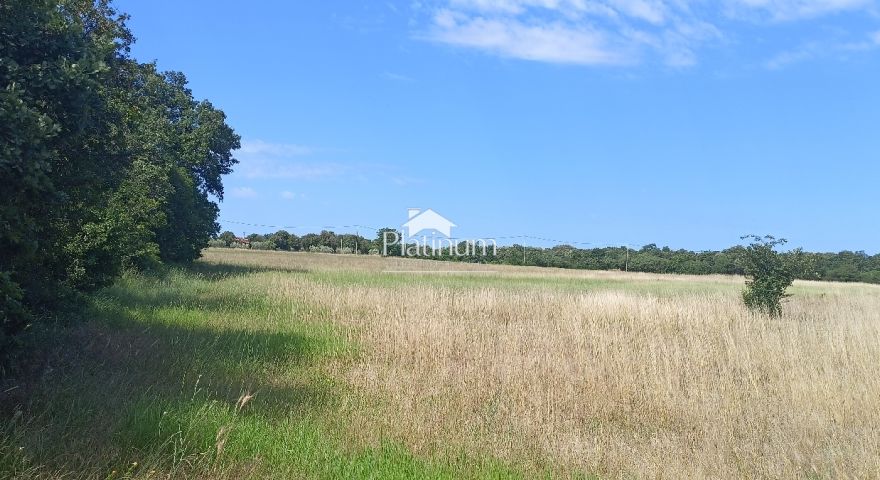 Istria, Barbariga, terreno agricolo vicino alla zona edificabile