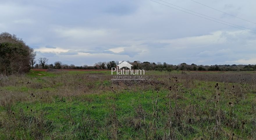 Istria, Šišan, terreno agricolo