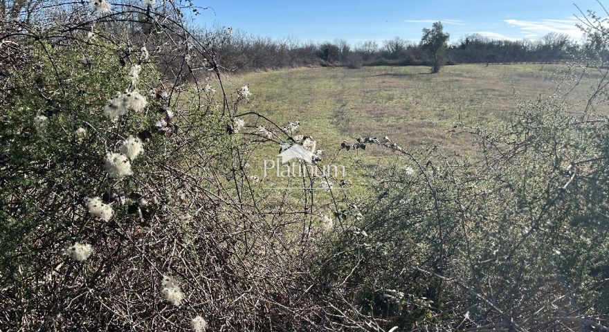 Istria, zona Juršić, bel terreno agricolo