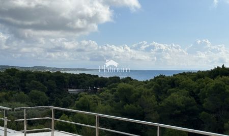 Istra, Pemantura, izuzetna prilika, komforni dvosobni apartman s fantastičnim pogledom