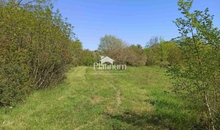 ISTRA, PAVIĆINI, GRAĐEVINSKO 3000M2, TOP LOKACIJA