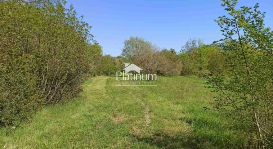 ISTRIA , PAVIĆINI, EDIFICIO 3000M2, POSIZIONE TOP