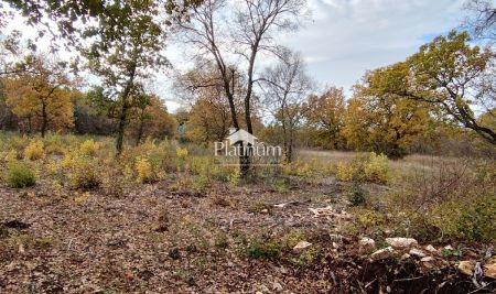 Istra,Vodnjan poljoprivredna parcela