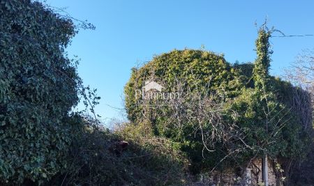 Istria, Dokići casa istriana con giardino