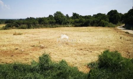 Istria, Šišan, terreno edificabile attraente